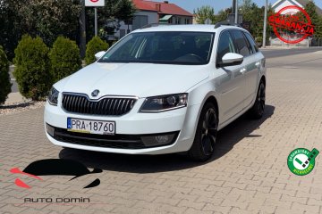 Raty 2.0 TDI Led Xenon Navi Zarej w PL 140 tys km Gwarancja