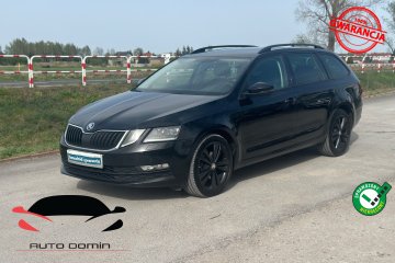 RATY 2.0 TDI 150KM Navi el klapa Kamera Zarej w PL Gwarancja