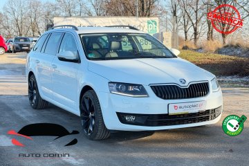 Raty 2.0 TDI Led Xenon Navi Zarej w PL 140 tys km Gwarancja